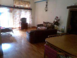 Spacious, Airy 1400sft 2BHK centrally located near Metro station in Ameerpet - 1