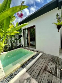 Noble House - 8