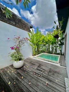 Noble House - 2
