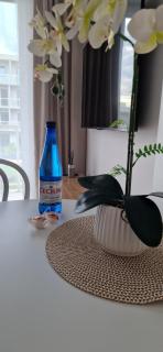 Legnica Apartament Desantowa 10 - 9