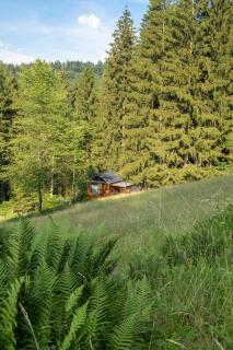 Glamping Walden - 2