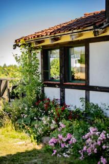 Koń na biegunach - 9