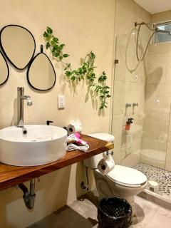Planta Baja,p4,Pet friendly,10 minutos del centro - 8
