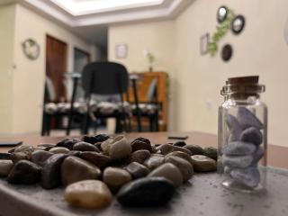 Planta Baja,p4,Pet friendly,10 minutos del centro - 3