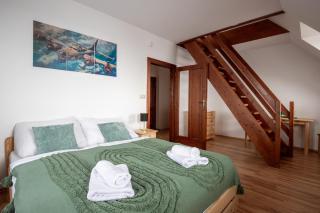 Vila Araya Mlynica - 9