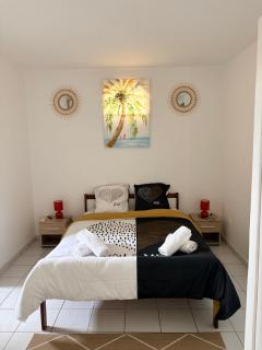 Le Cocon Tropical-Bourg des Trois-Ilets - 8