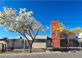 Dos Lapachos - 6