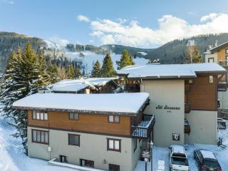 All Seasons by Vail Realty - 0