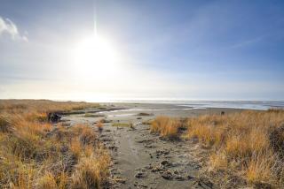 4BR/4BA Beachfront Retreat with Hot Tub and Sauna - 9