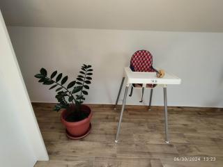 Iva Apartment, Surcin-Belgrade - 9