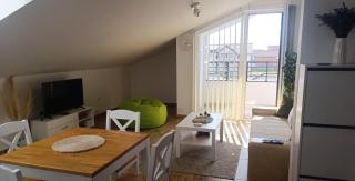 Iva Apartment, Surcin-Belgrade - 3