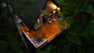 Hidden Fern Cabin - 9