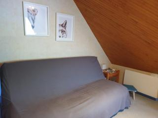 Ambiance chalet, vue montagne, parking, 2 adultes 2 enfants - 6