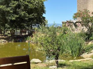 Le Cocon de Roquelande equestrian boarding house - 9