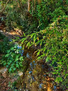 Le Moulin des Salces - 6