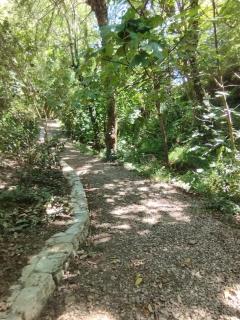 Le Moulin des Salces - 3