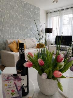 Ferienwohnung Rehn 1 - 0