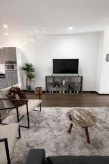 Bowra Departamento Equipado, Zona Providencia POM - 5