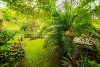 Veranda 5H 1 bdr Garden View in Los Suenos - 1