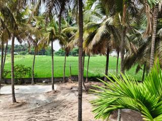 Mudita Farmhouse staycation Only for vegetarians - 1