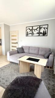 Apartament AB Villa Mountain View Szklarska Poręba - 8