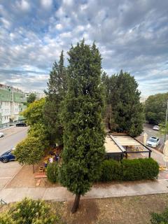 The Quiet Corner, Central Podgorica Apartment - 4
