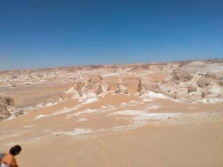 White desert safari adventure - 1