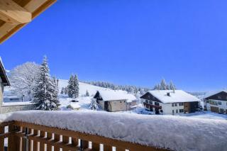 Neue Chalets im Tannheimer Tal - 9
