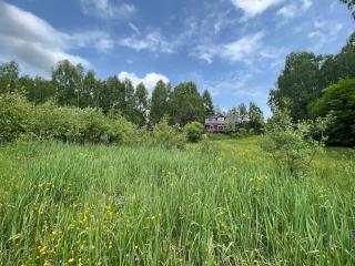 Full Private Refuge House among the birches - 1