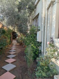 Olive Cottage - 1