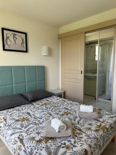 Le Soleil du Golf, piscine et sauna - 7