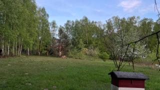Full Private Refuge House among the birches - 8