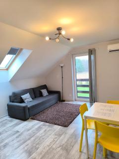 Apartamenty Wilga - spokojne miejsce z całorocznym zewnętrznym wspólnym jacuzzi, sauną i wakacyjnym basenem - 9