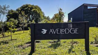 Ave Lodge Frutillar - 5
