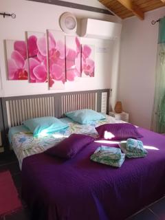Gîte Anolis - 9