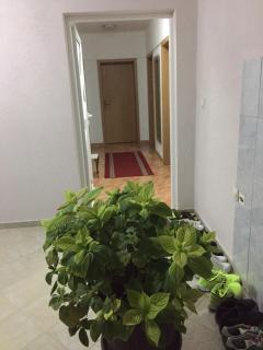Apartmani Bidž - 4