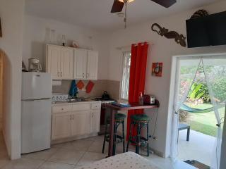 Tropical Gecko Studio - Sweet Jewel Apartments - 3
