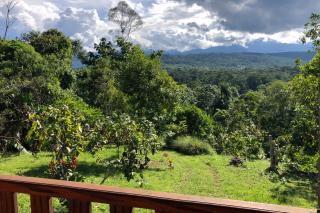 Coral Tree Lodge Tena - 8