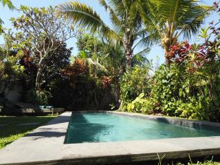 Peaceful 3BR Villa Private Pool Ubud - 5