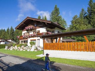 Mitterhorn in St Ulrich am Pillersee - 0