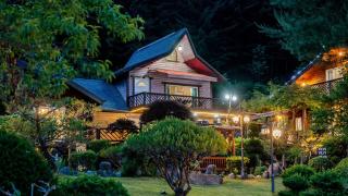 Gapyeong Yellowstone Pet-Friendly Pensio - 1