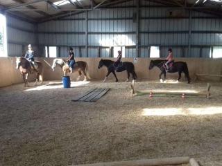 Large holiday apartment on a horse farm - 7