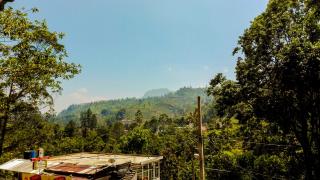 Green View Guest Inn - 6