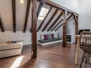 Penthouse near Plaza Mayor - 7