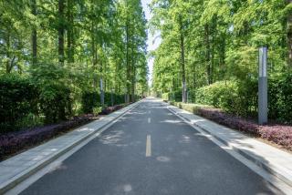 Shanghai Chongming Forest Hotel, a member of Radisson Individuals - 9