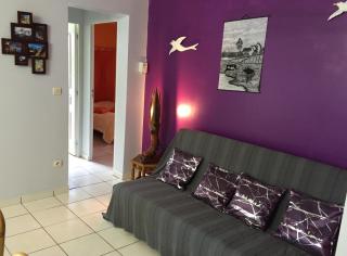 Bougainvilliers - 5