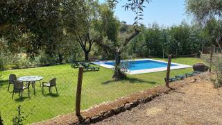 Detached 4 Bedroom Villa with Pool - 9