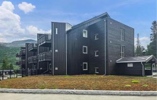 Beautiful Apartment In Hemsedal With Sauna - 0