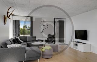 Splendida Casa A Hemmet Con Sauna - 1