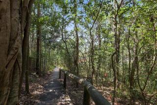 Apartment 1 Attunga Heights 4 - 7